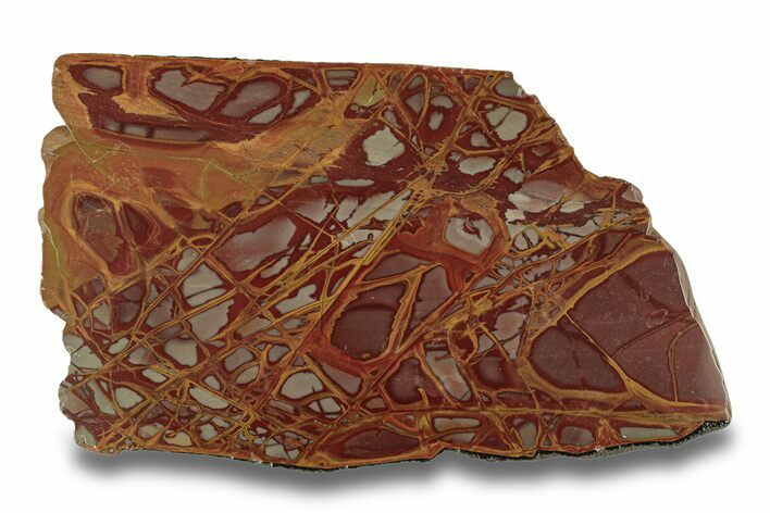 Polished Noreena Jasper Slab - Australia #280189